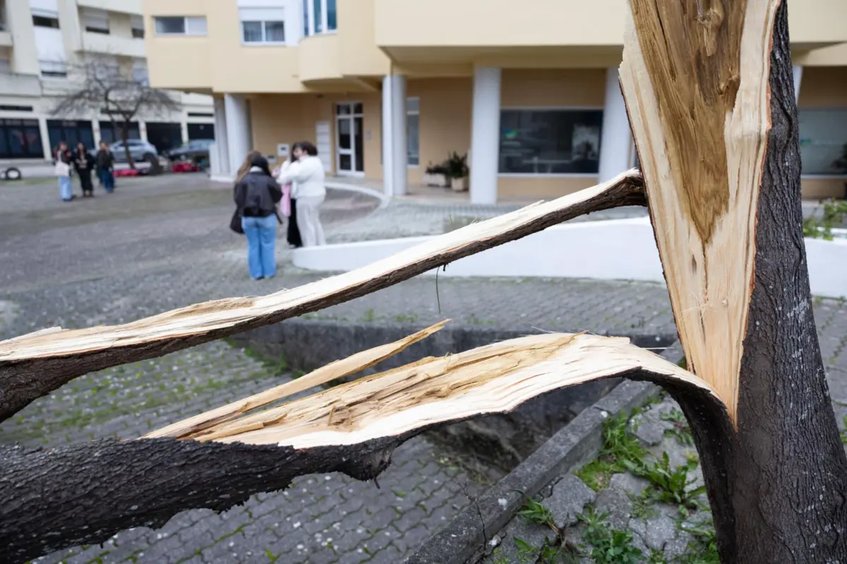 Destruição em Leiria devido à passagem da depressão Kristin