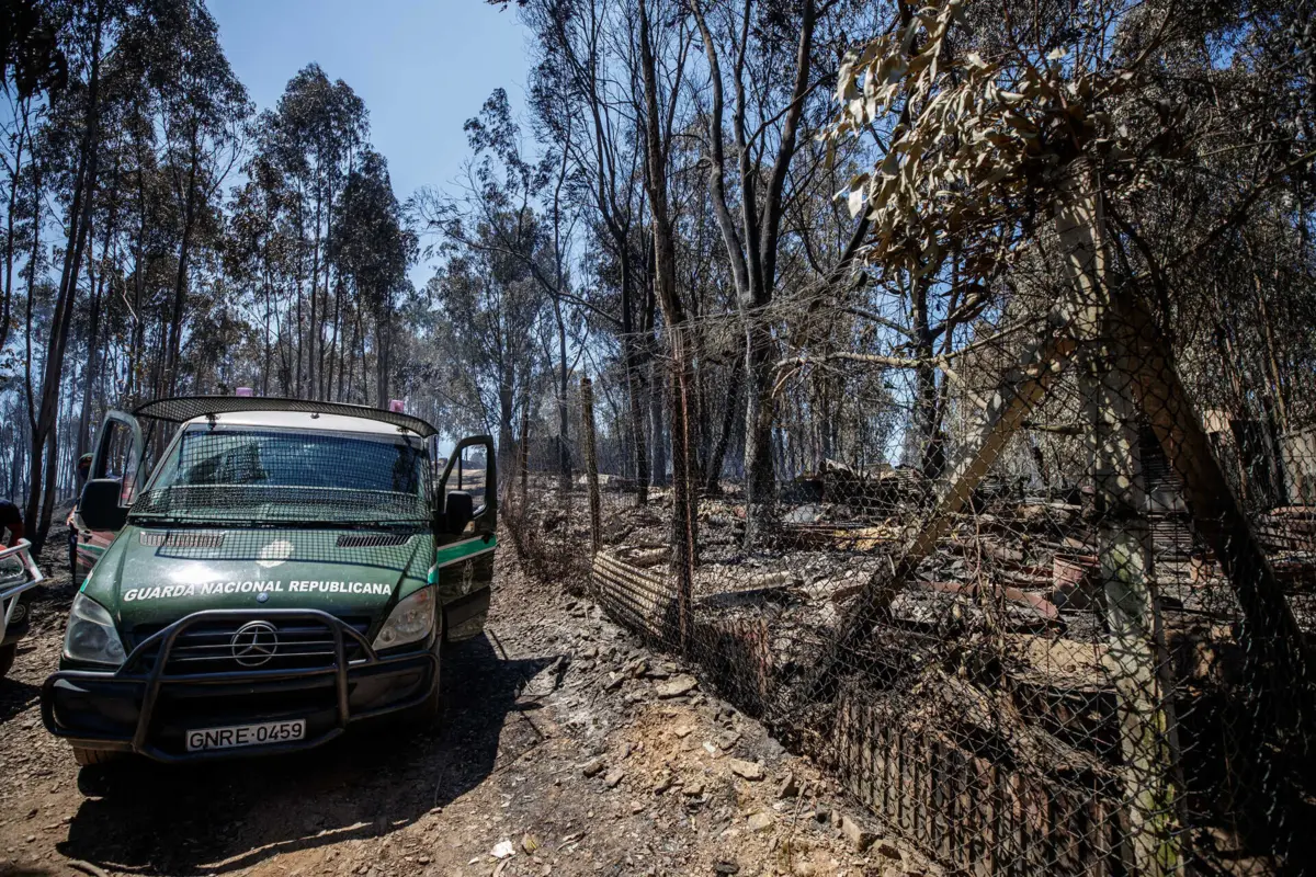 GNR impediu voluntários de salvarem animais que estavam fechados em abrigos ilegais onde deflagrou o fogo