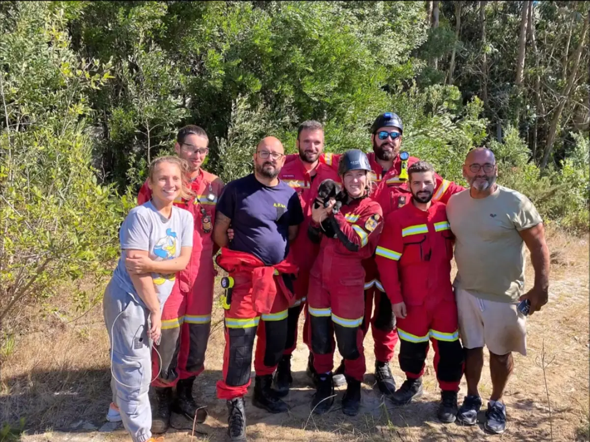 Associação resgatou cão que estava preso nas condutas de saneamento desde sábado