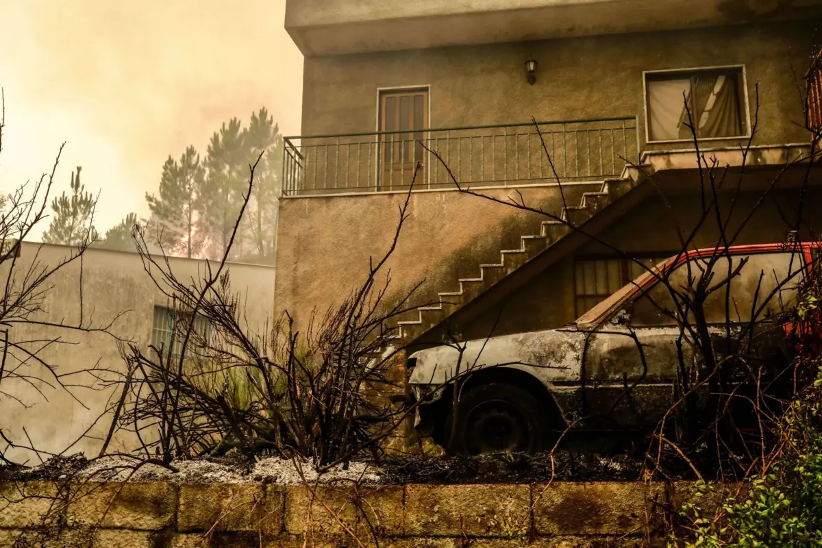 Fogo na Covilhã destruiu duas casas e consumiu 20 mil hectares