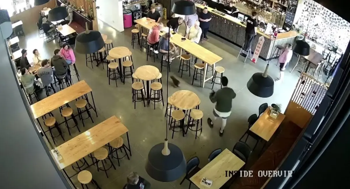 Bar "Sprig + Fern The Meadows" divulgou imagens de videovigilância