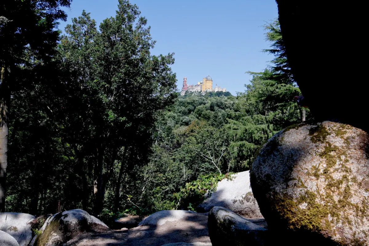 Nova estação do IPMA para prever risco de incêndio e eventos adversos já funciona na Serra de Sintra