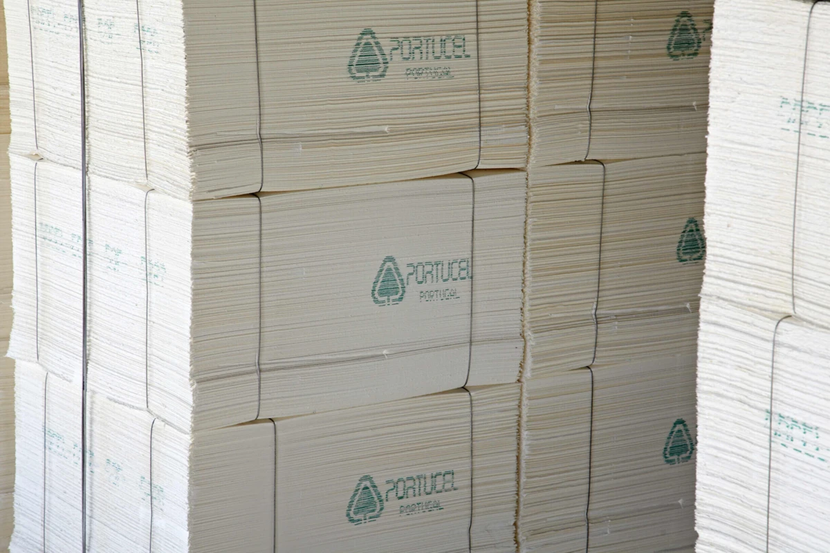 Imagem de contexto do artigo Greve parou produção de pasta de papel na Navigator em Aveiro