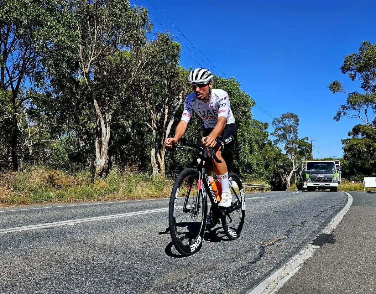 António Morgado em ação