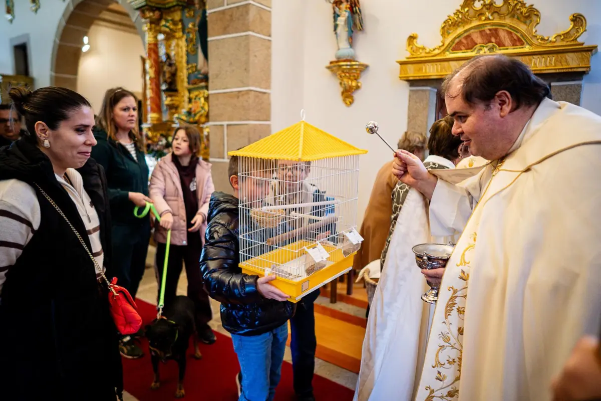 Imagem de contexto do artigo O padre Paulo benzeu cabras, cães, pássaros e galinhas. "A ver se põem muitos ovos"
