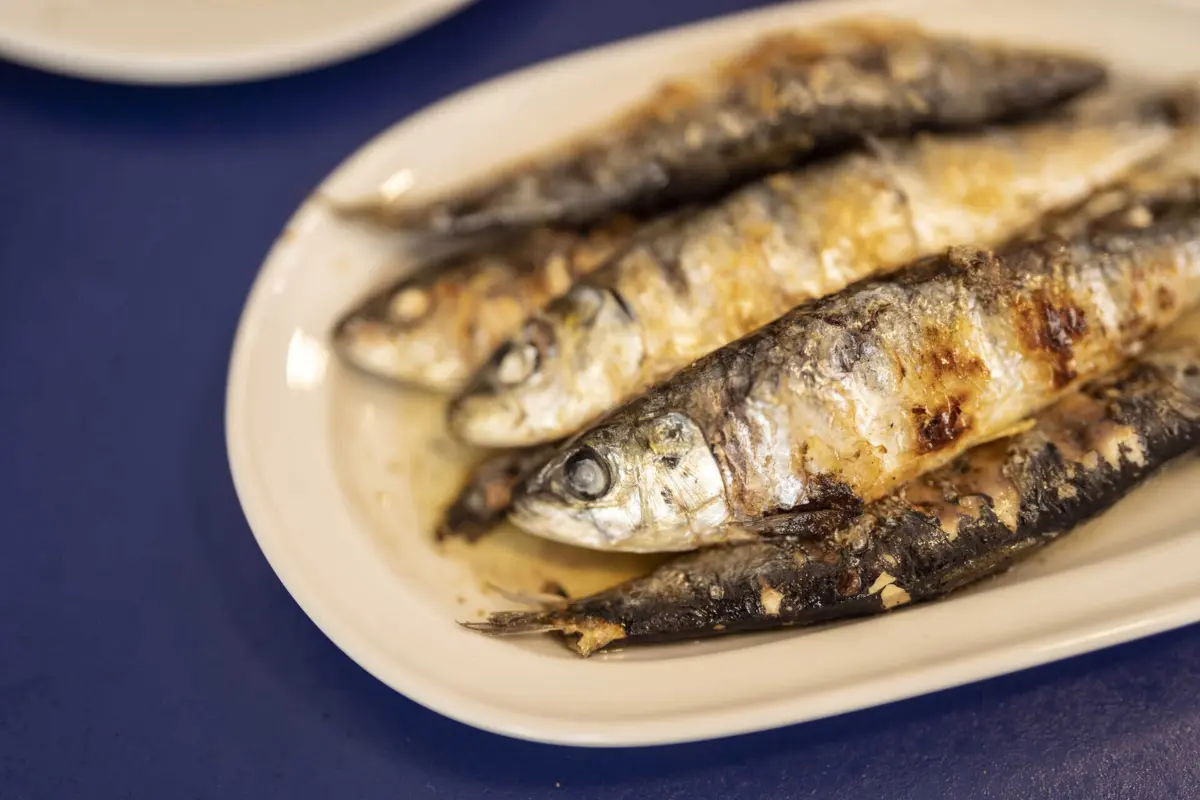 A 19.ª Festa da Sardinha começa na próxima quarta-feira
