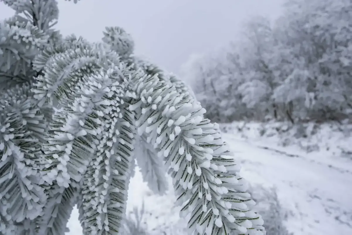 Imagem de contexto do artigo Escolas fechadas em Alijó e Vila Pouca de Aguiar por causa da neve