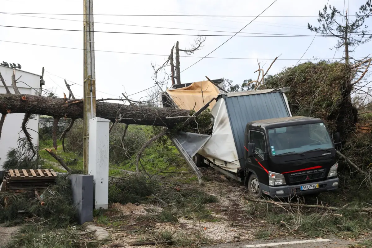Árvores de grande porte caíram sobre postes interrompendo o transporte da eletricidade e dos fios de fibra ótica
