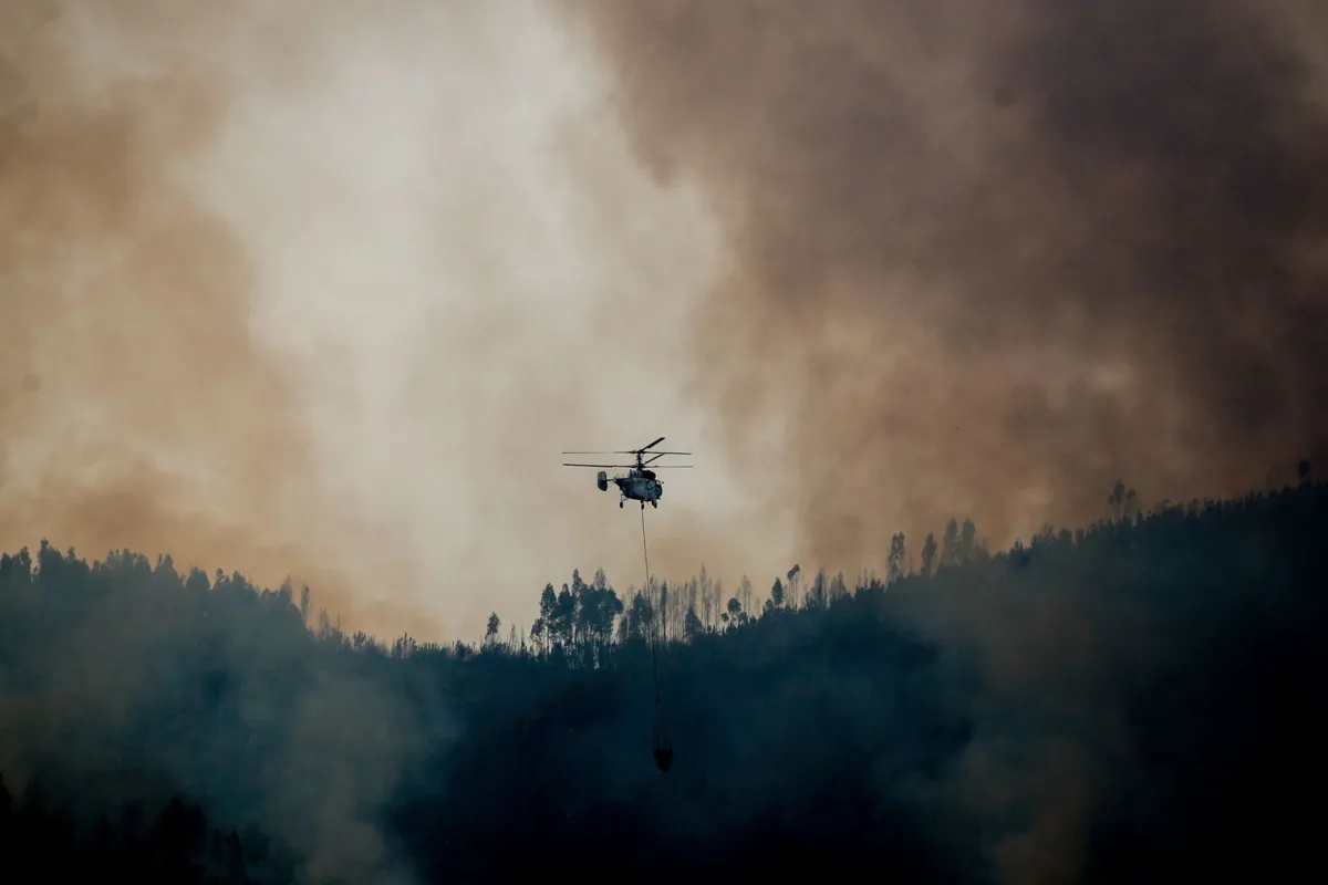 Imagem de contexto do artigo Proteção das habitações é prioridade no combate ao fogo em Seia