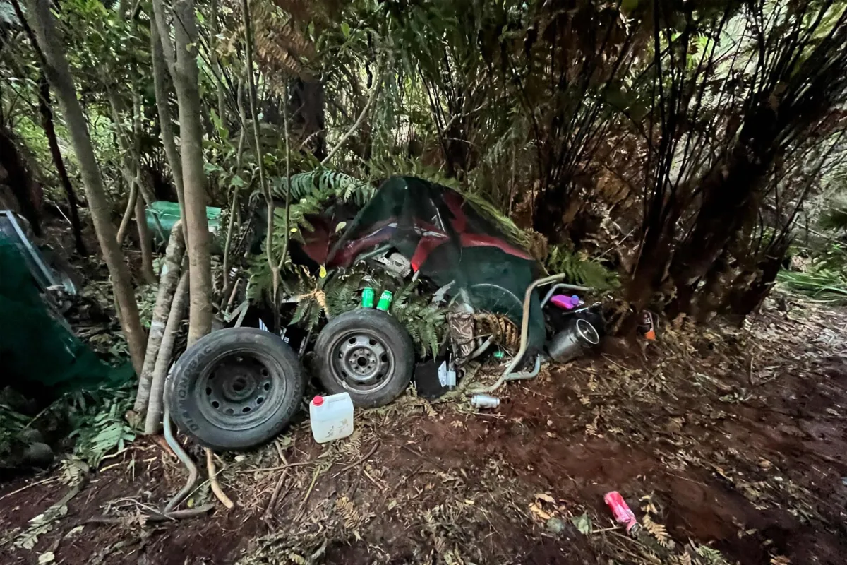Tom Phillips estava escondido com os filhos no mato