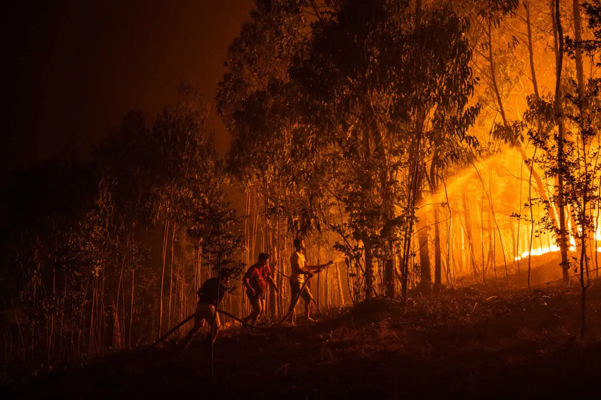 Colaboração com a EFA coloca Portugal na vanguarda da utilização de tecnologias espaciais para a gestão de incêndios