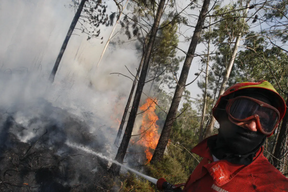 Fogos de 2023 custaram 377,2 milhões de euros