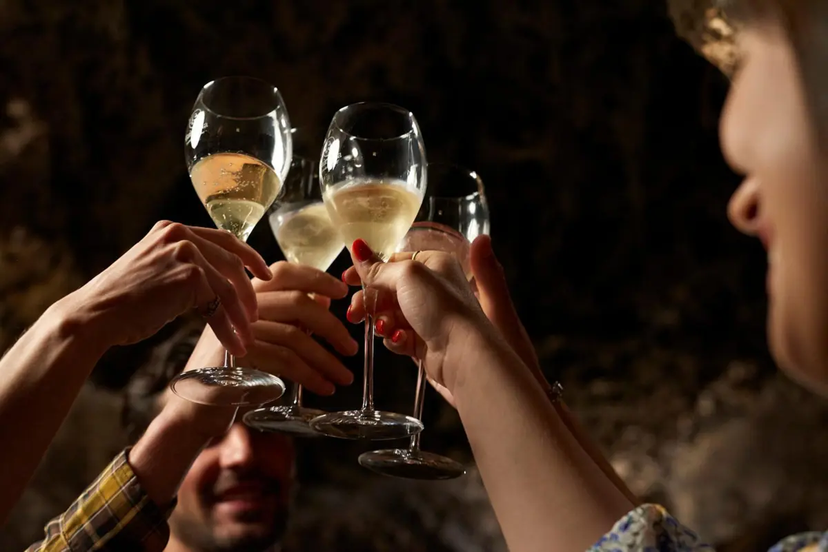 Imagem de contexto do artigo Cinco escolhas para um inverno em flor