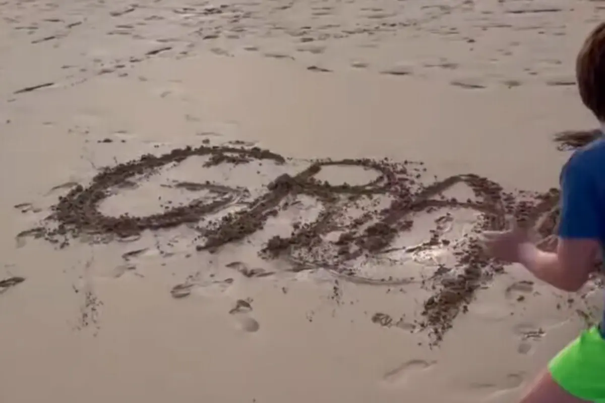 Mensagem de agradecimento aos pilotos dos Canadair de Espanha que auxiliaram o combate ao incêndio na Madeira