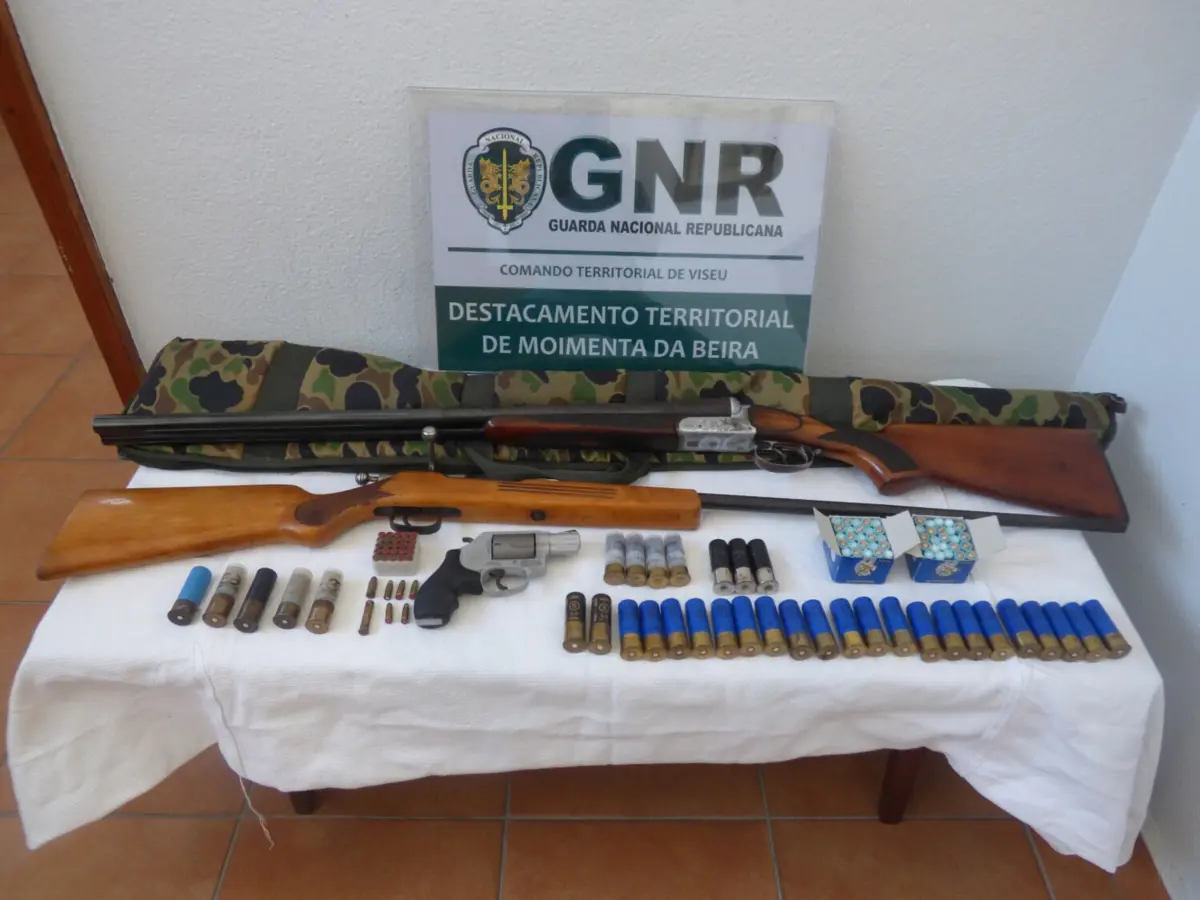 GNR deteve homem e apreendeu armas e mais de uma centena de munições