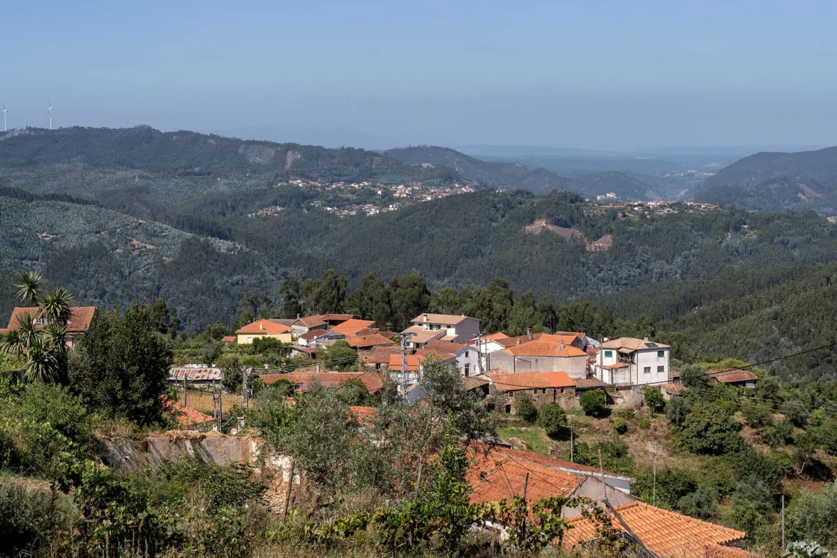 Soutelo é uma ilha num mar de verde