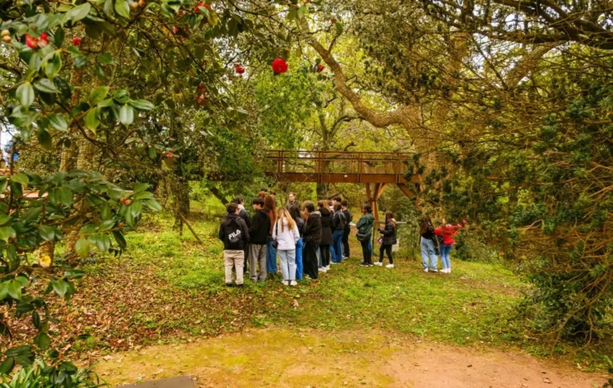 Parque de Serralves, no Porto