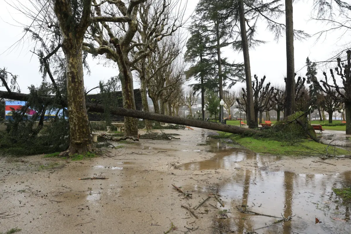 Imagem de contexto do artigo Governo decreta situação de calamidade nas "zonas mais afetadas" pela depressão Kristin