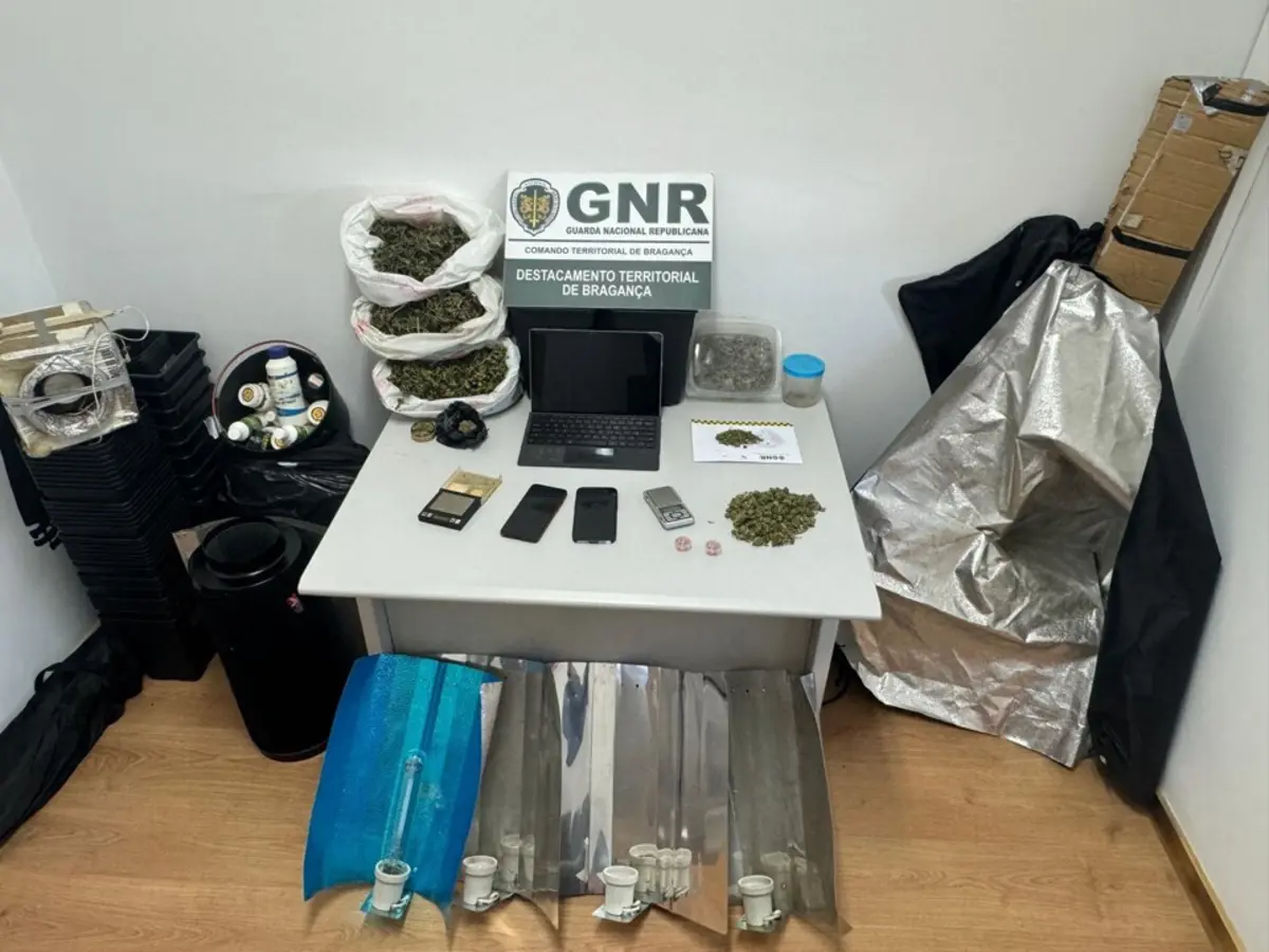 Imagem de contexto do artigo Dois homens detidos por tráfico de droga em Trás-os-Montes