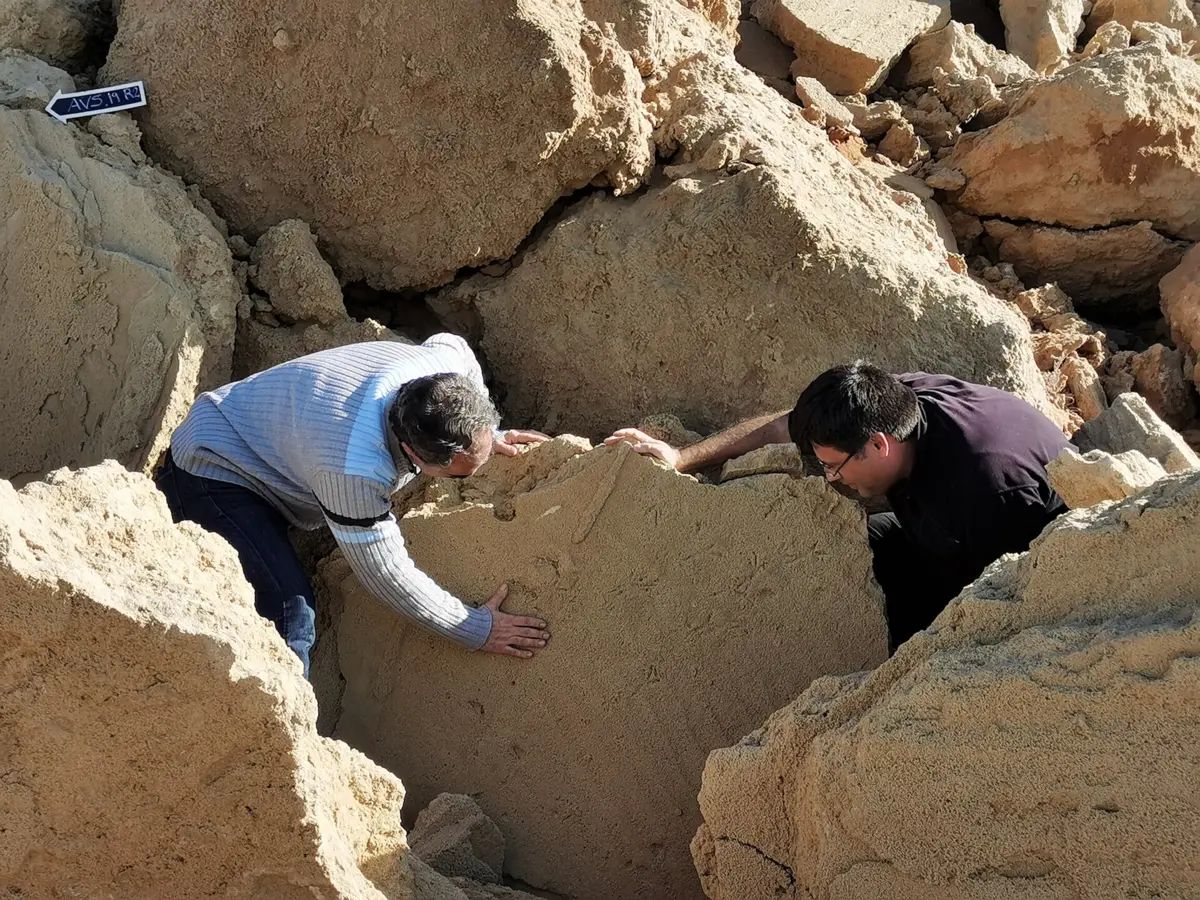 Pegadas de aves são as mais antigas encontradas em rochas na Europa