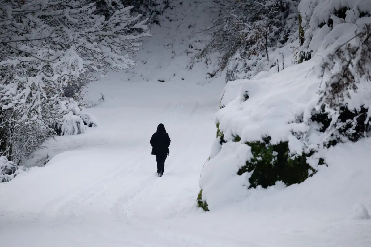 A aldeia do Castelo acordou pintada de branco devido à passagem da depressão Ingrid, no concelho de Vila Pouca de Aguiar, distrito de Vila Real, 24 de janeiro de 2026. PEDRO SARMENTO COSTA/LUSA