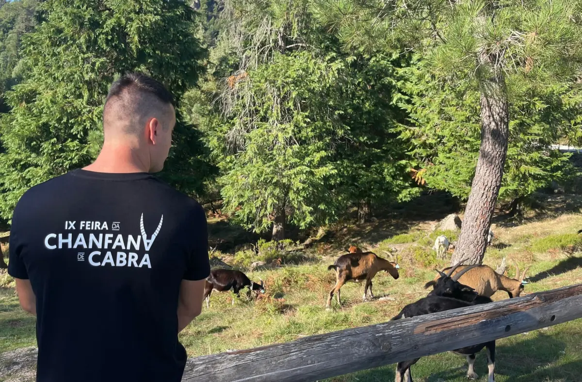 Imagem de contexto do artigo Feira da Chanfana de Cabra vai animar Gerês