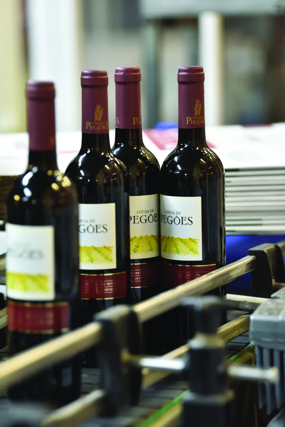 Imagem de contexto do artigo Adega de Pegões: tradição, inovação e sustentabilidade