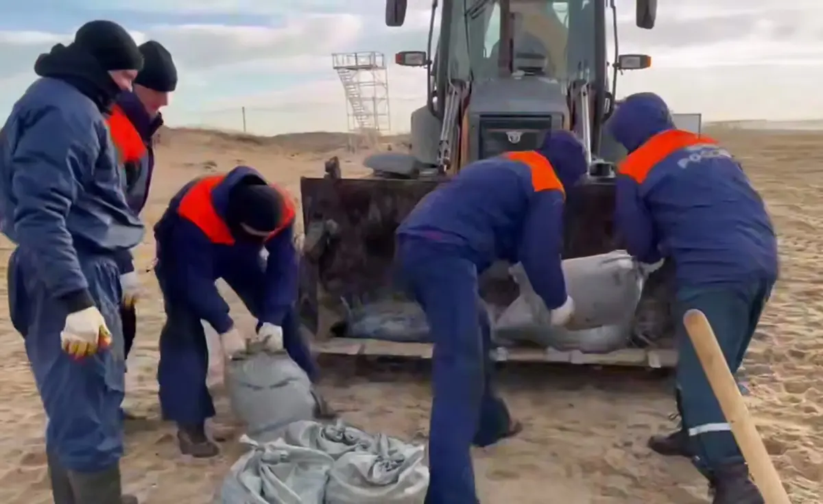 Imagem de contexto do artigo Rússia deteta novas manchas de petróleo nas praias da Crimeia