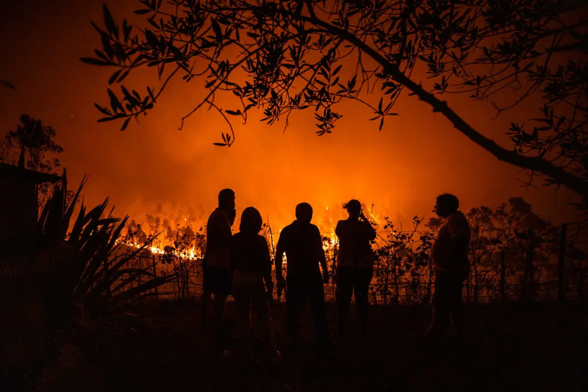Imagem de contexto do artigo Incêndio no Alandroal dominado
