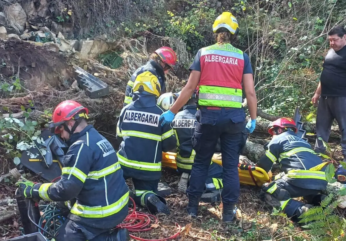Imagem de contexto do artigo Homem ferido com gravidade ao ser atingido por árvore em Albergaria-a-Velha