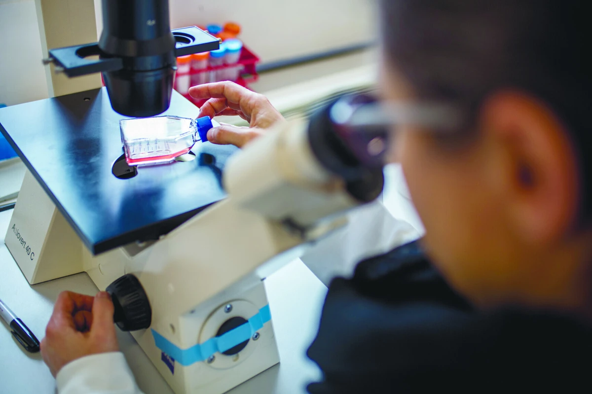 O acesso ao financiamento, bem como captar e reter recursos humanos altamente qualificados, são alguns dos desafios na implementação dos projetos