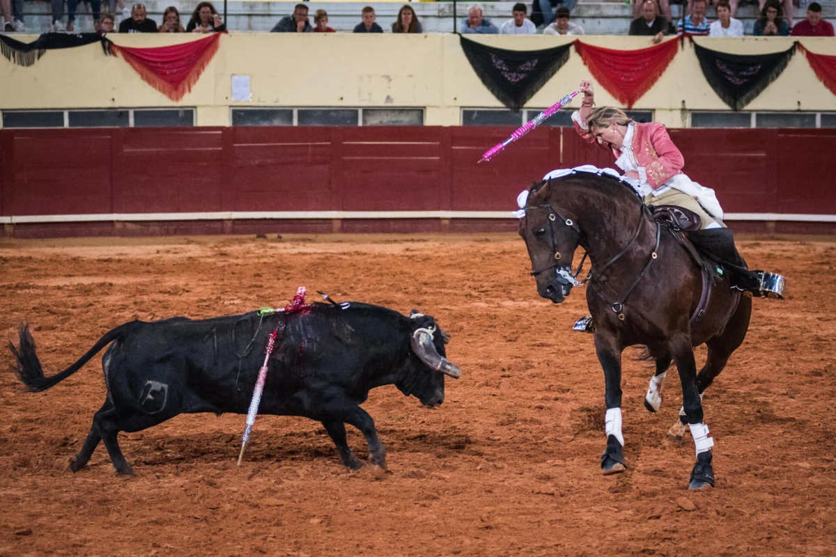 Em 2024, foram realizadas 143 touradas em Portugal