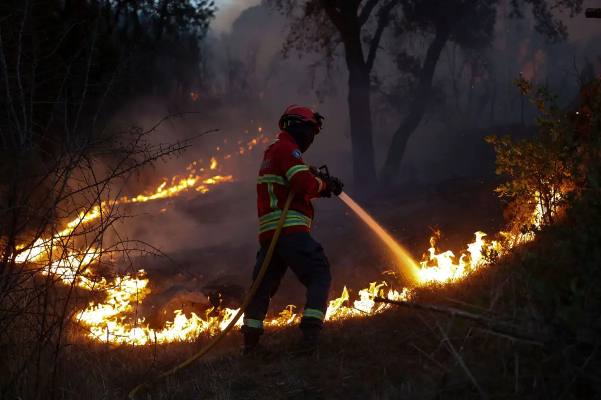 Imagem de contexto do artigo Mais de 330 operacionais combatem fogo em Aljezur