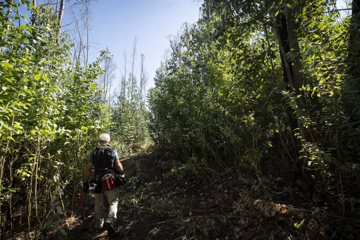 Decisão vai permitir que o processo volte para o Juízo Central Cível de Lisboa para ser apreciada