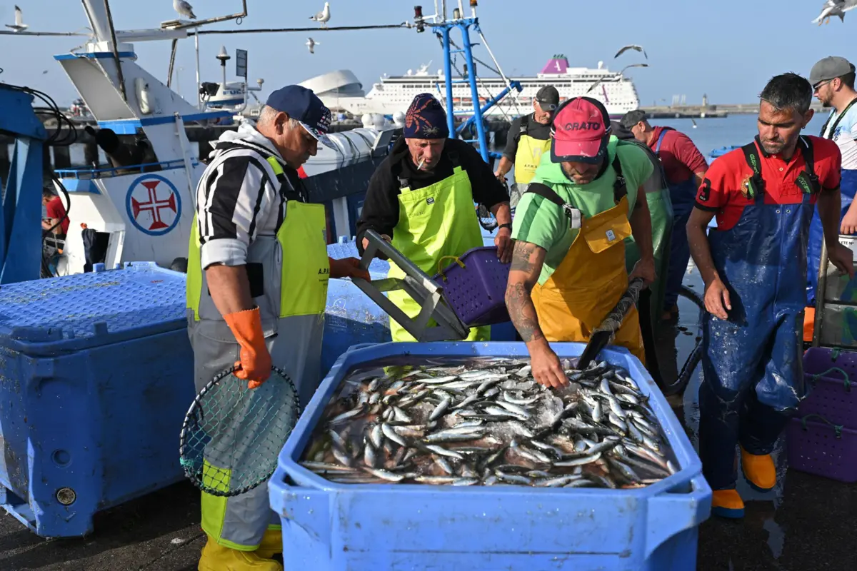 Na lota, o peixe é vendido apenas a comerciantes e, a 50 metros, o consumidor já paga três ou quatro vezes mais