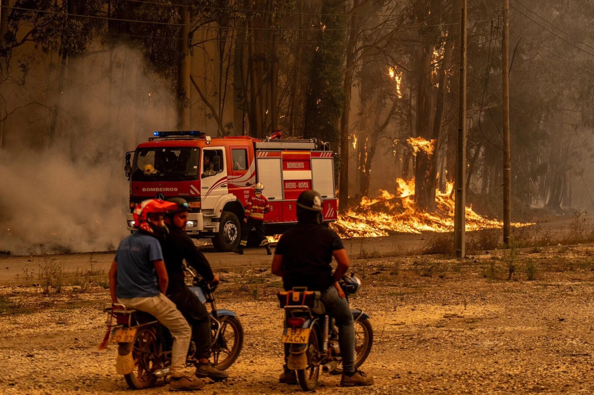 Imagem de contexto do artigo Dois mortos nos incêndios em Albergaria-a-Velha