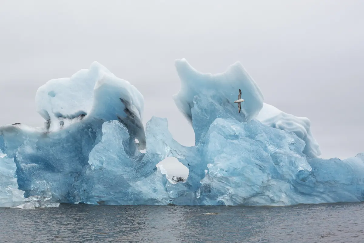 Nas últimas duas décadas, os glaciares perderam aproximadamente 5% do seu volume total