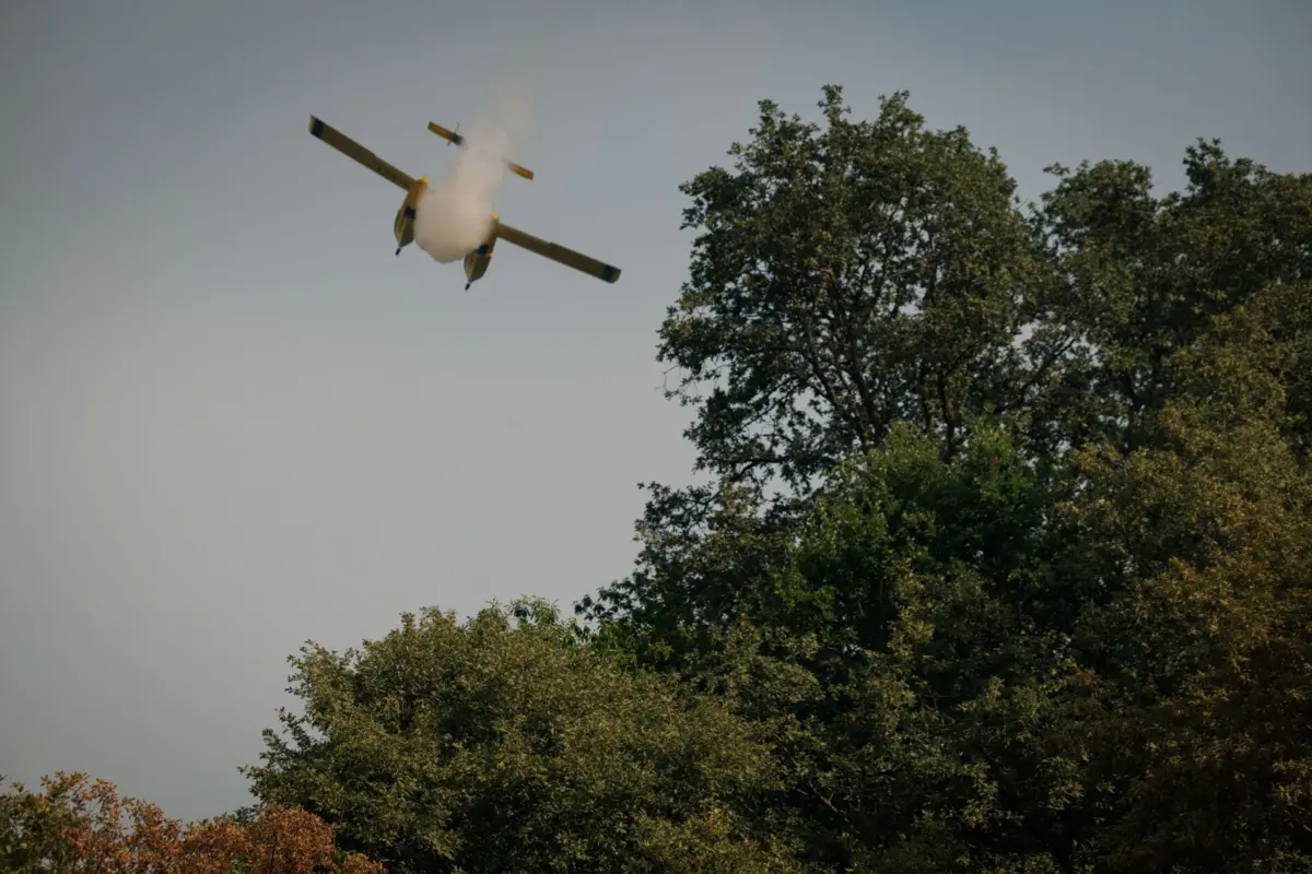 Meios aéreos disponíveis têm sido motivo de debate em plena época de incêndios