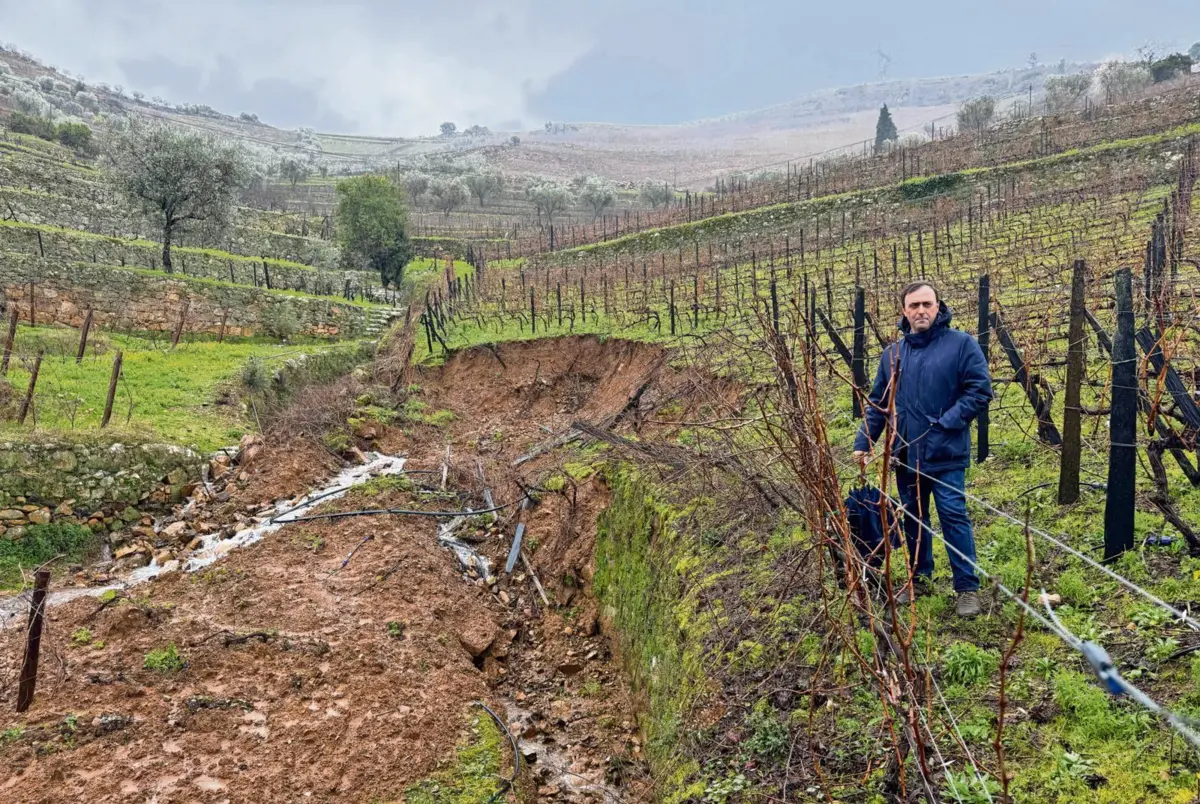 Rui Soares, da Prodouro, teve prejuízos pessoais e recebe reportes diários de situações idênticas dos associados