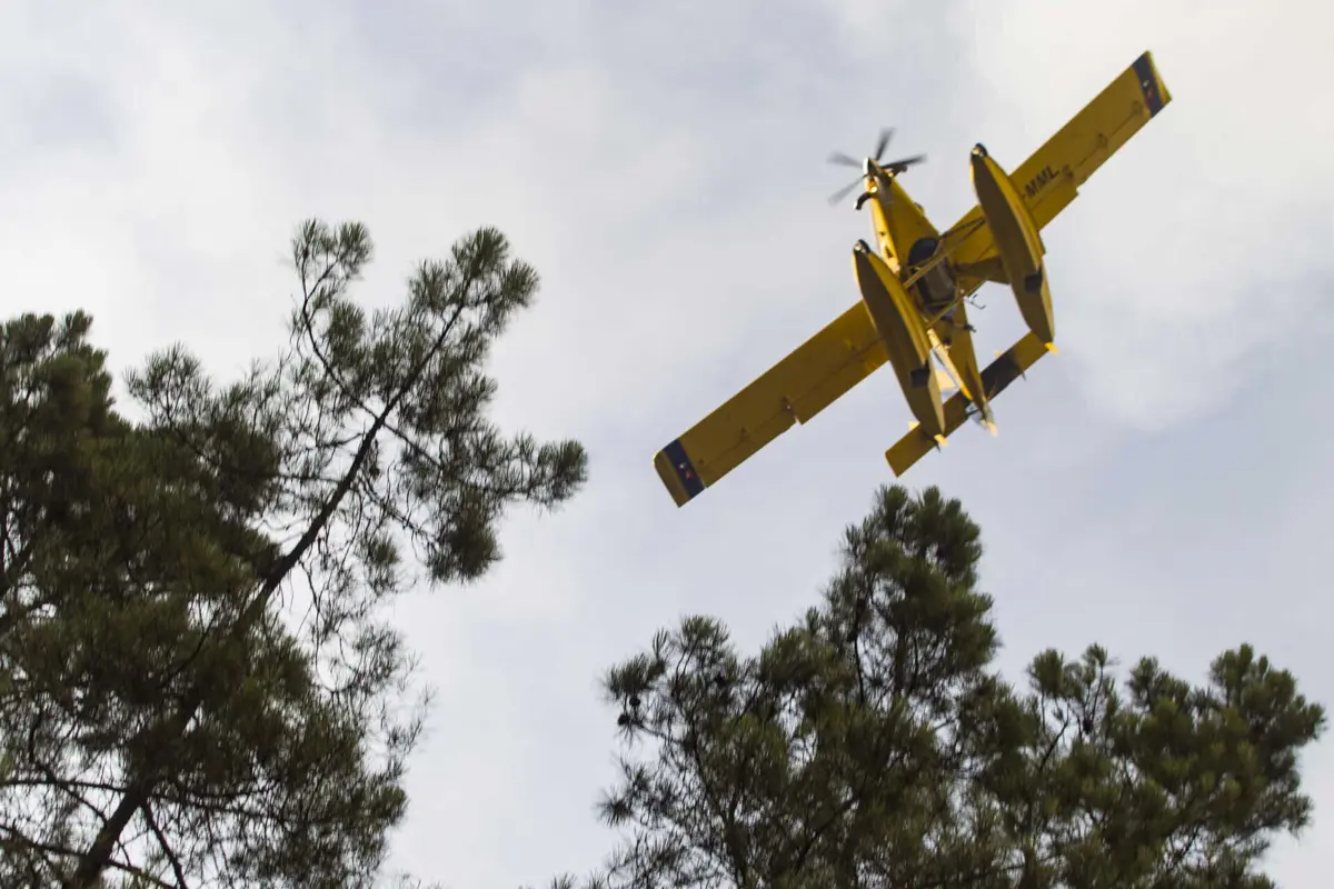 Imagem de contexto do artigo Avião de combate a fogos amarou de emergência na barragem da Pracana