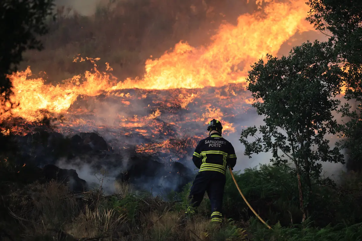 Suspeito foi detetado pela GNR pouco depois de ter iniciado um incêndio em Pombal