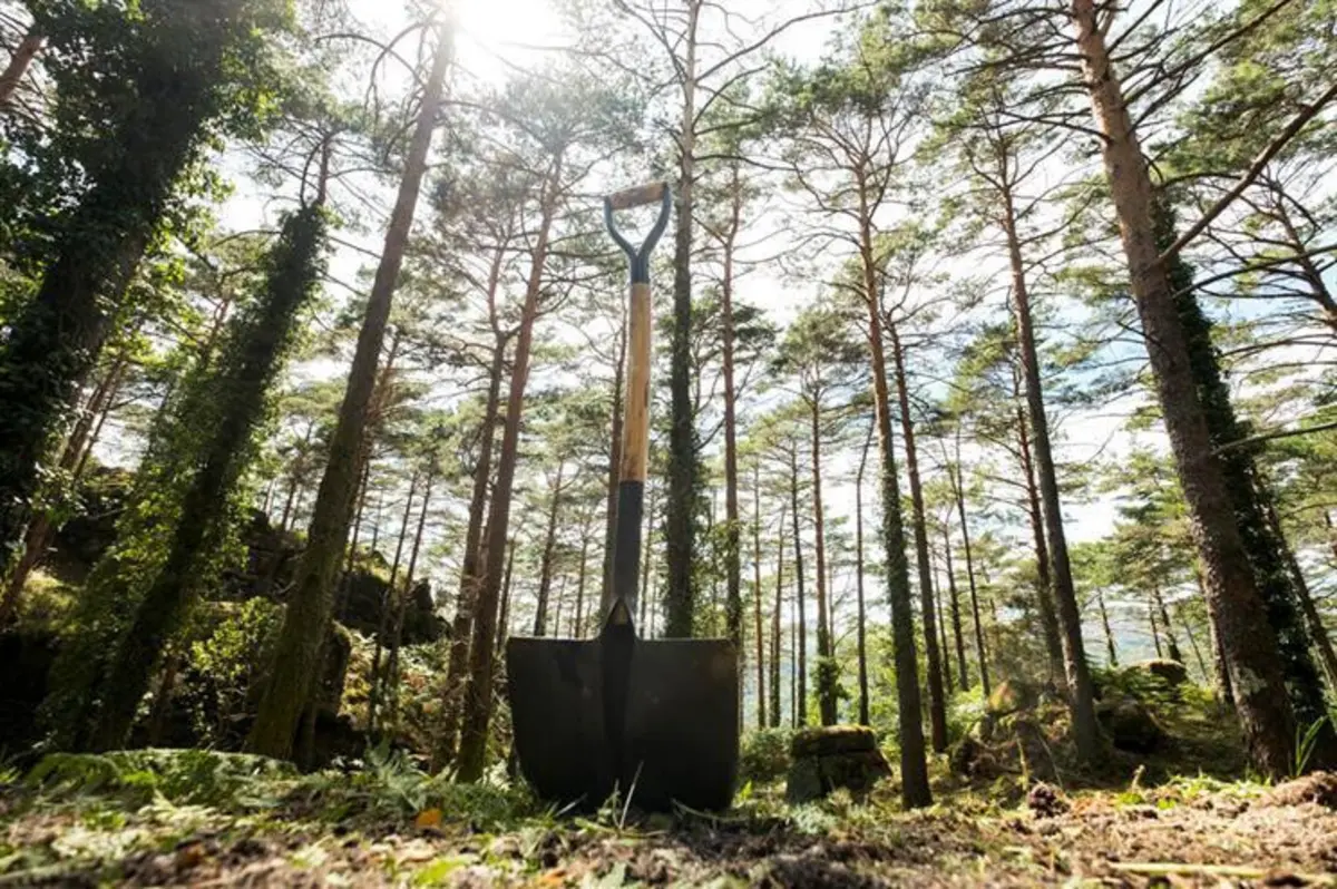 Dois milhões de euros para centrais de biomassa gerarem energia