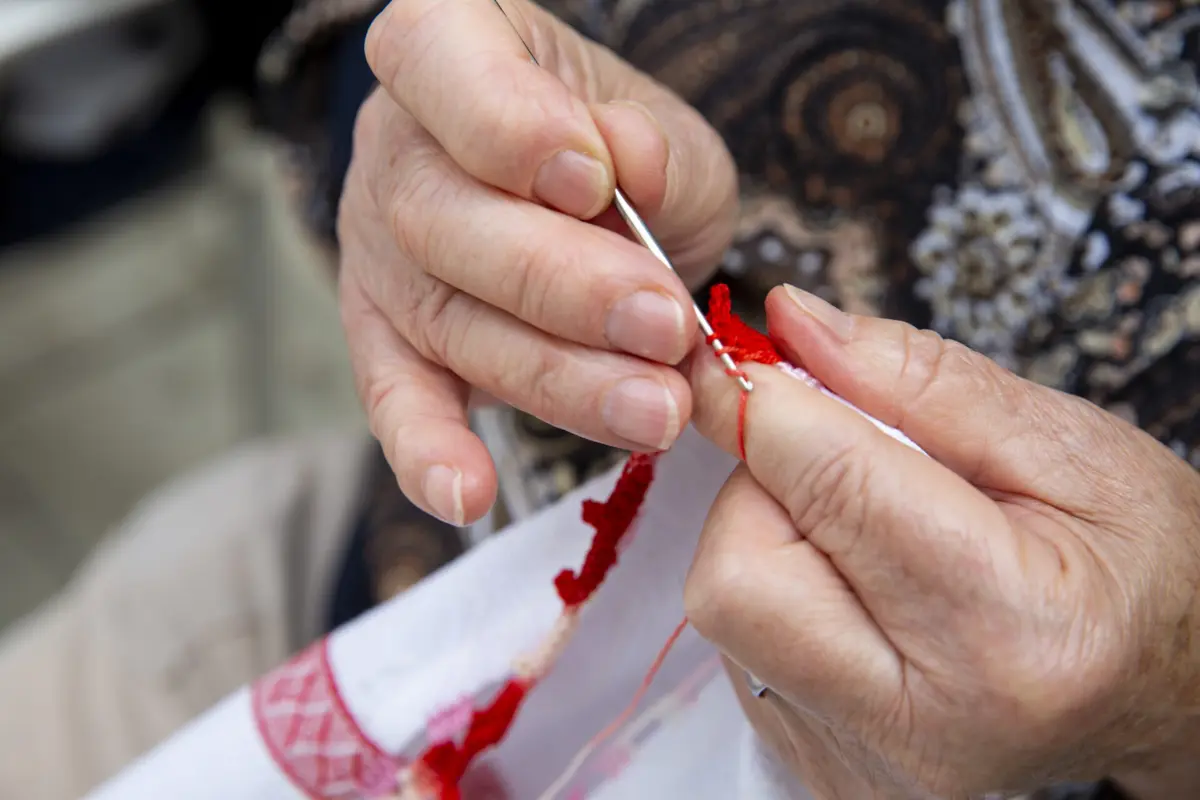 Em causa estão erros no processamento da meia-pensão