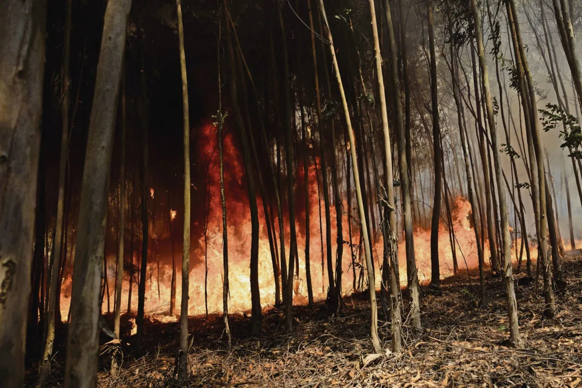 Tribunal de Leiria sentenciou bombeira na reserva