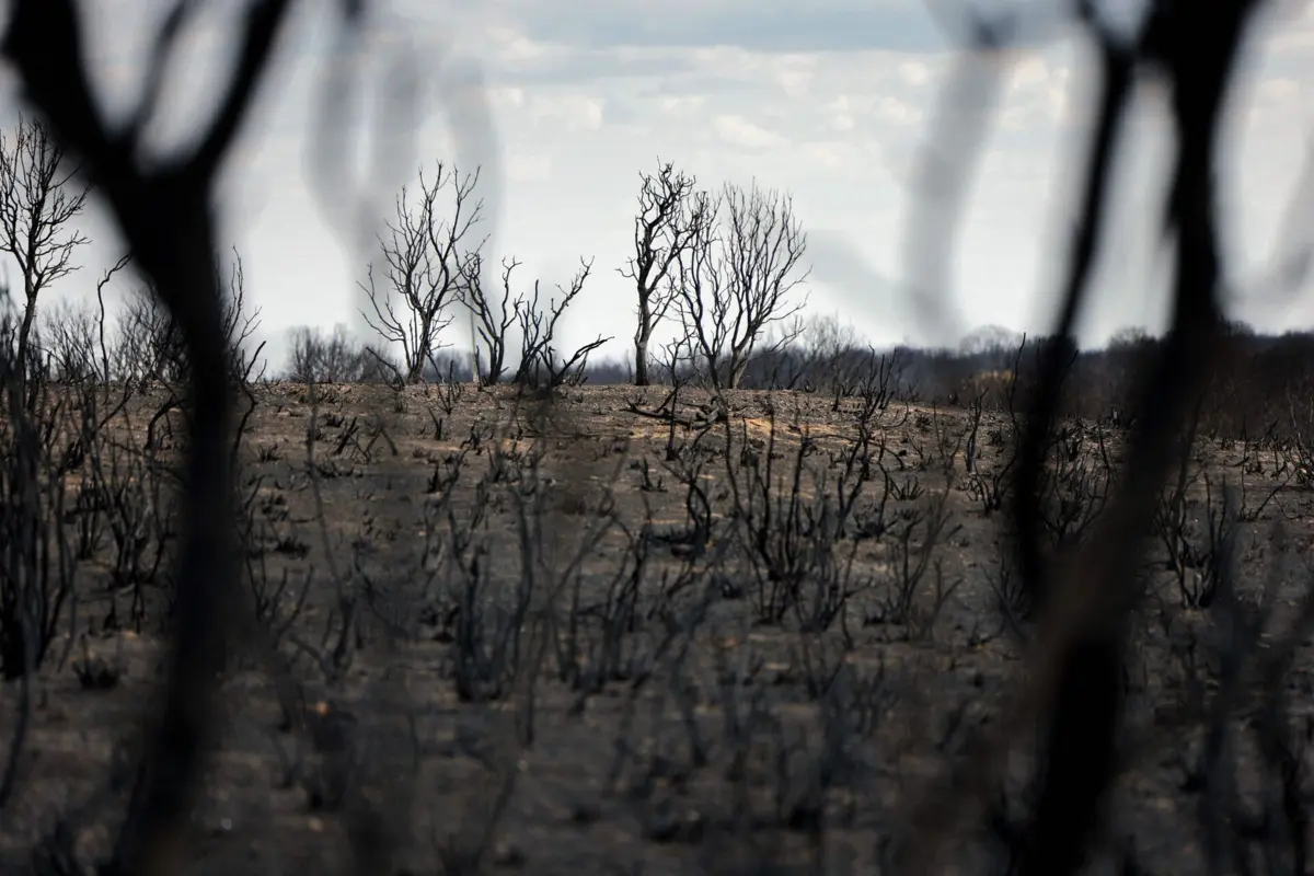 A média do total de área ardida na UE ao longo de todo o ano nunca ultrapassou os 600 mil hectares entre 2006 e 2024