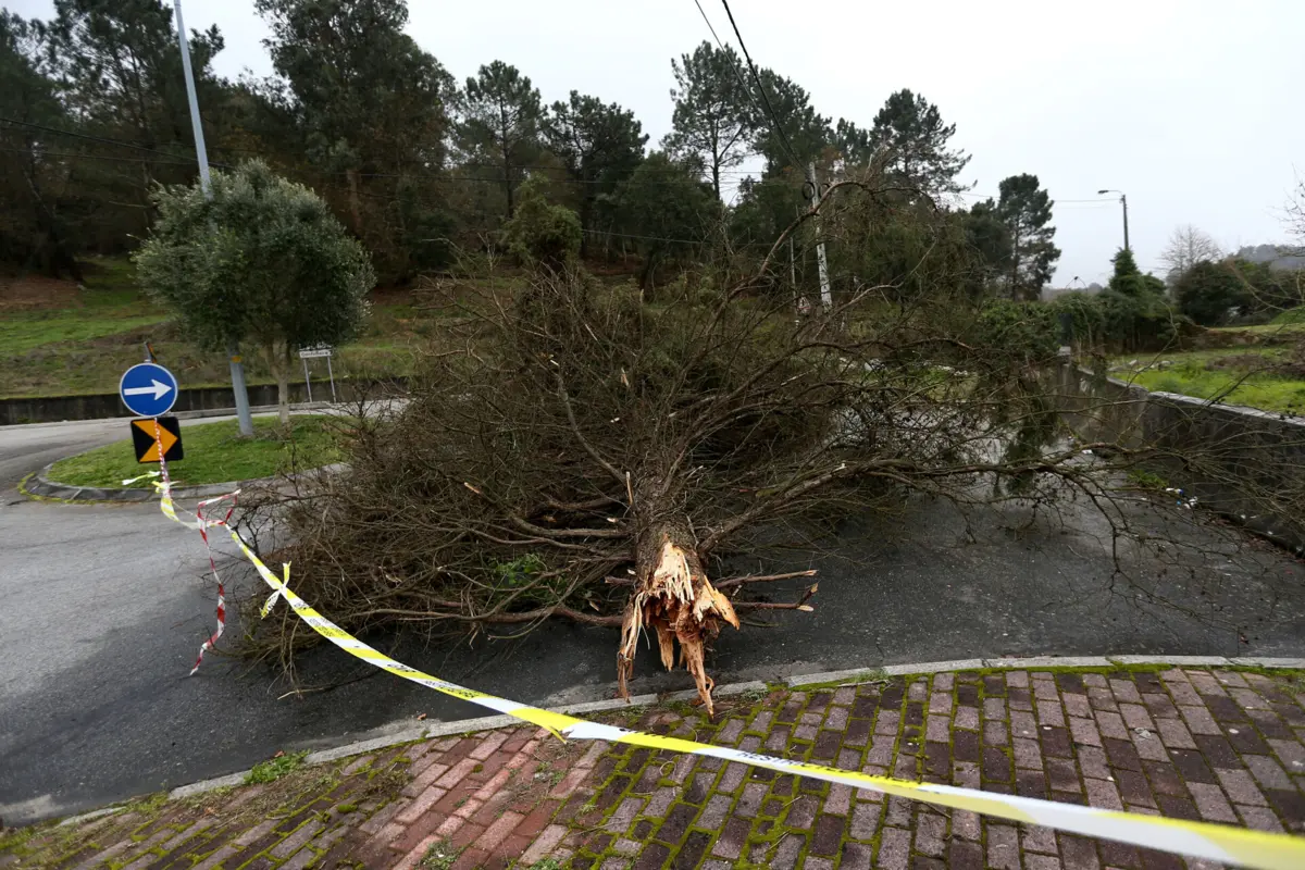 Chuva e vento forte têm causado inundações e quedas de árvores em várias zonas do país
