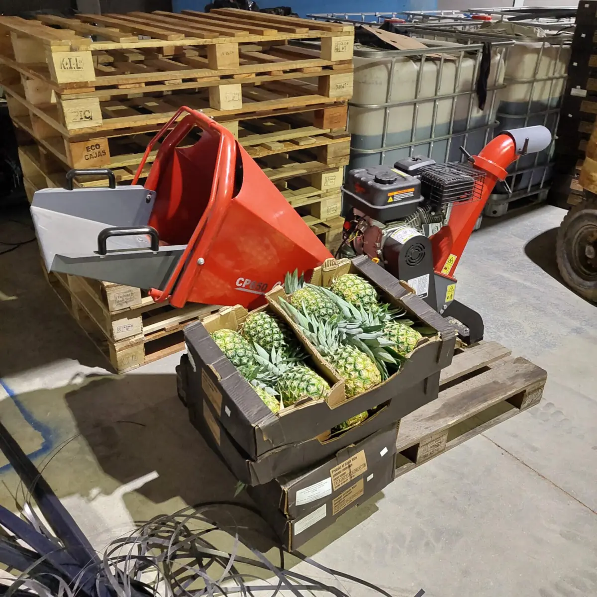 Cocaína estava escondida nas paletes usadas para transportar caixas de ananases