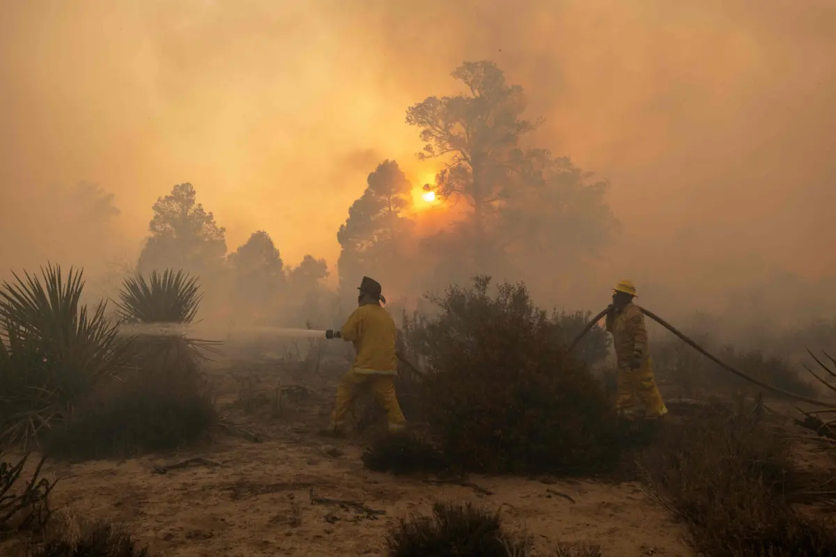Imagem de contexto do artigo Bombeiros combatem gigantesco incêndio na Califórnia que dura há cinco dias