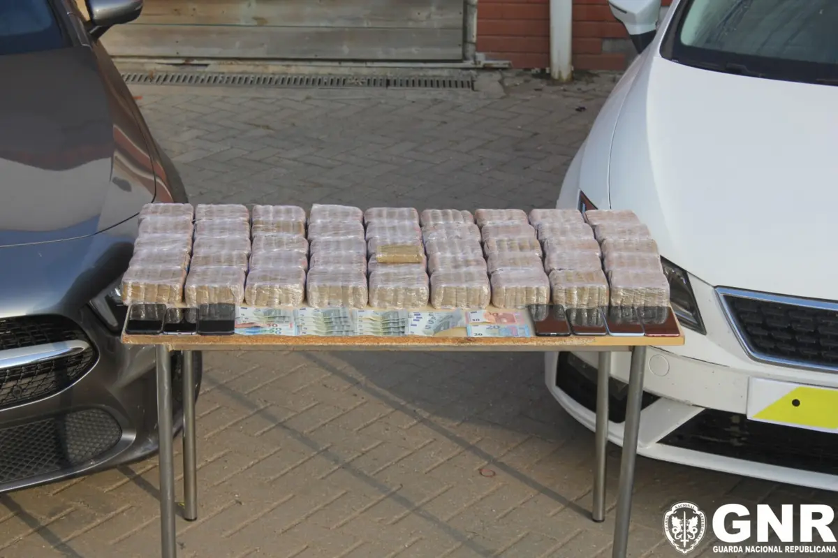 Traficantes foram apanhados com 46 478 doses de haxixe