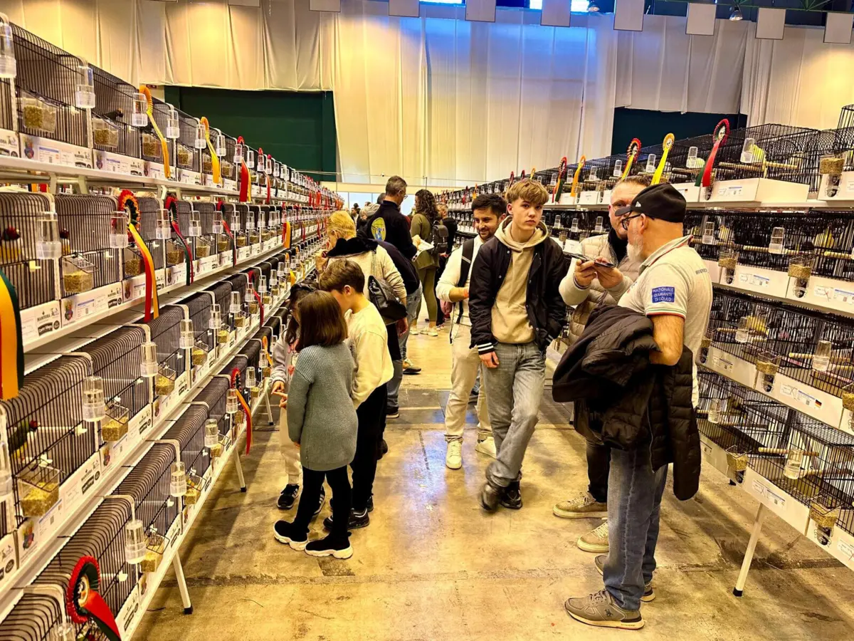 Mundial de Ornitologia, no Europarque, em Santa Maria da Feira